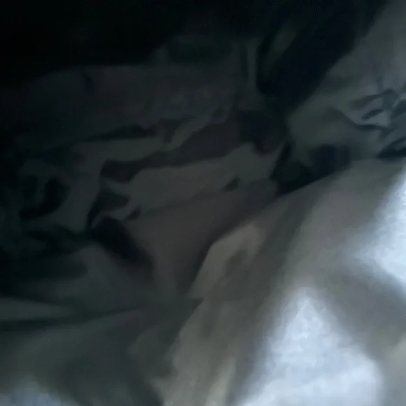 Everyday Backpack 21L (newest edition) in Black - Picture 4 of 6